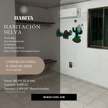 CUARTOS PARA ESTUDIANTES FRANCISCO DE MONTEJO, MÉRIDA, YUCATÁN - (HABITA)